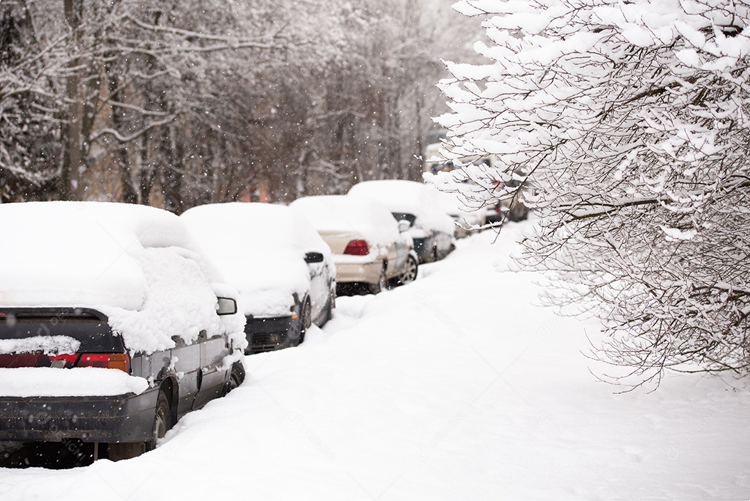 Carros sobre a neve