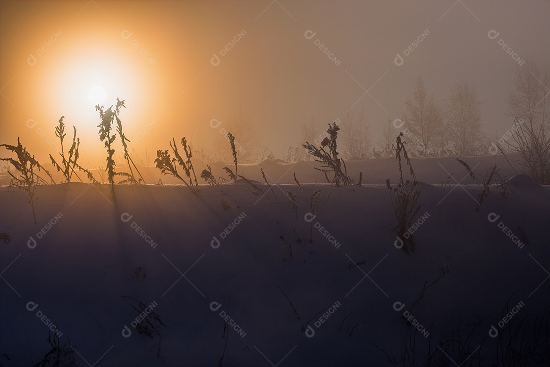 Fundo de nevoeiro de inverno sonhador