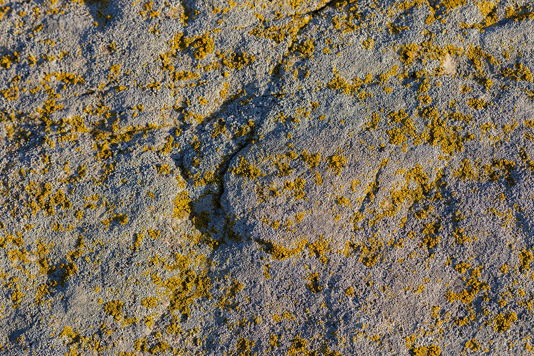 Fundo de pedra moldada cinza