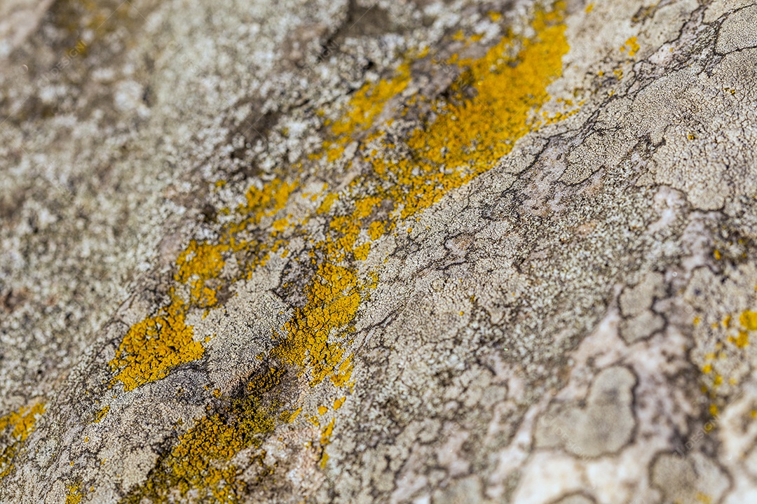 Fundo de pedra plano moldado cinza sob luz solar