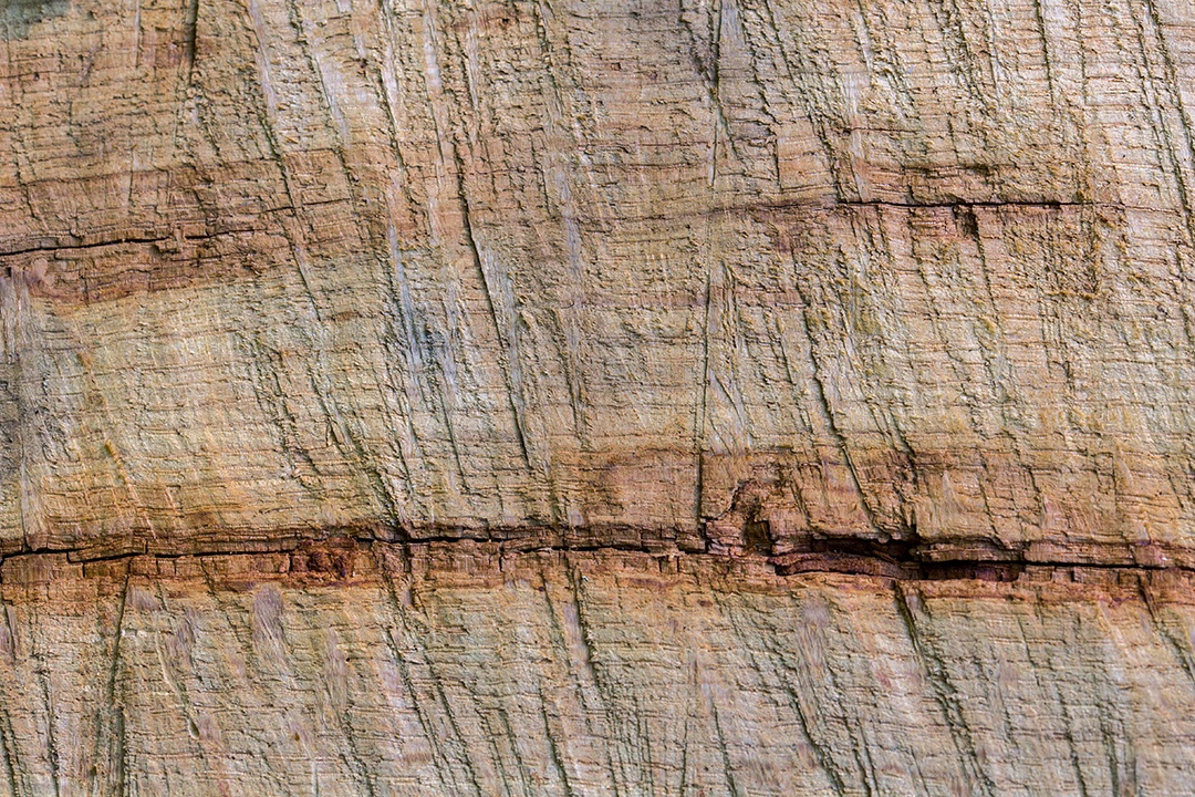 Fundo de textura de madeira antiga