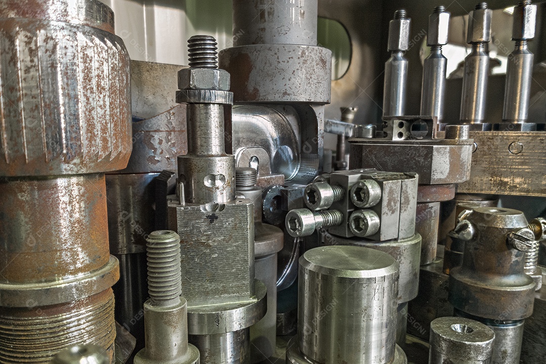 Detentores de ações