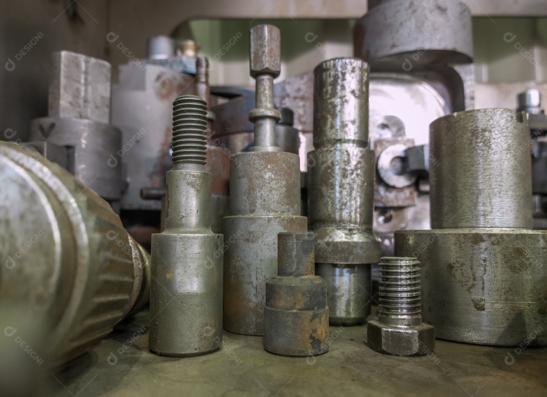 Detentores de ações