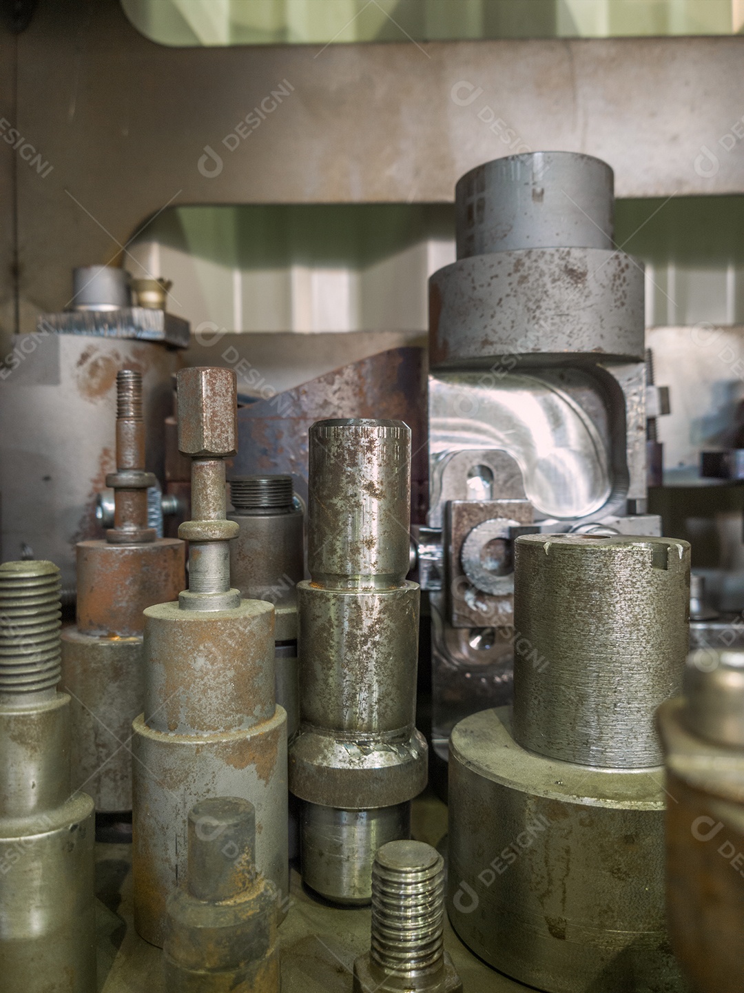 Detentores de ações