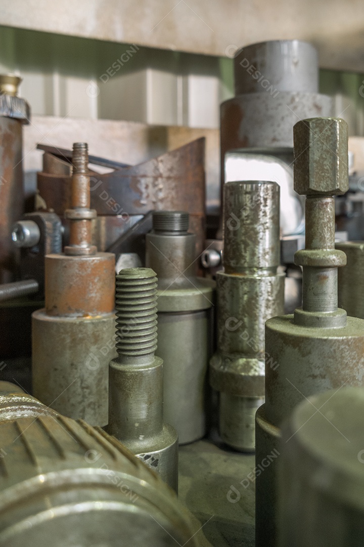 Detentores de ações