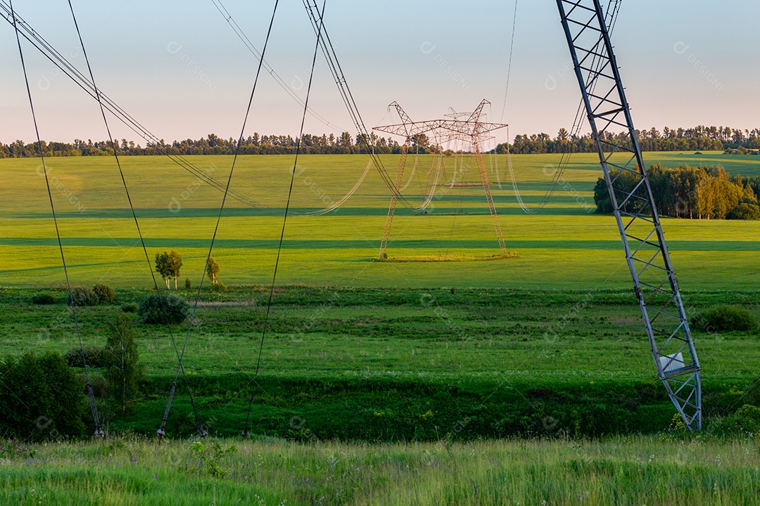 Enormes torres de energia elétrica em campo em dia de verão