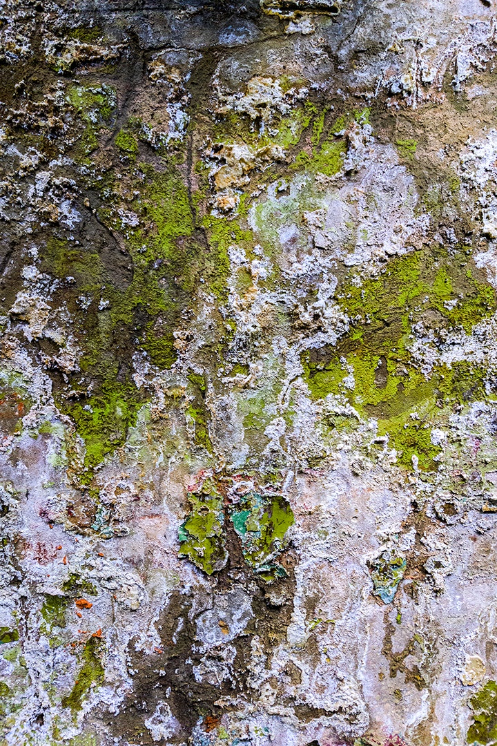 Textura e fundo de parede plana obsoleta e molhada em verde grunge