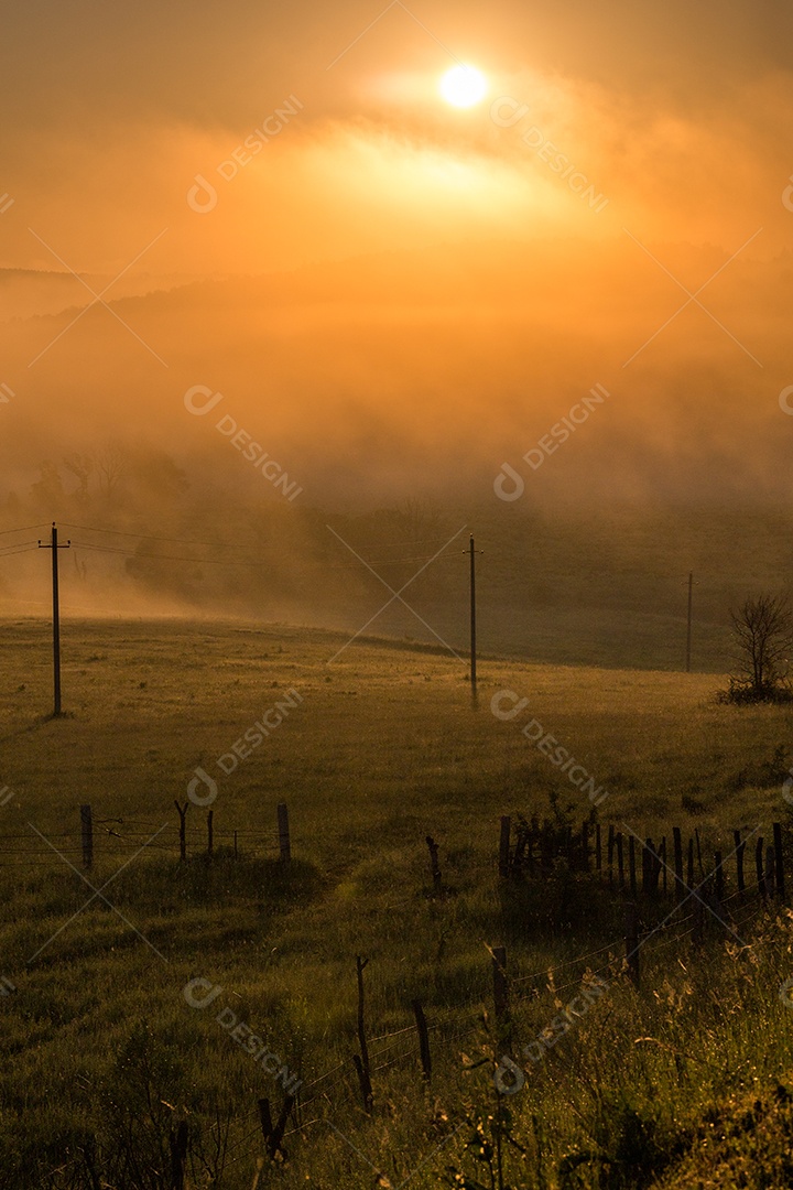 Linhas aéreas simples de energia em uma manhã de neblina no campo de verão