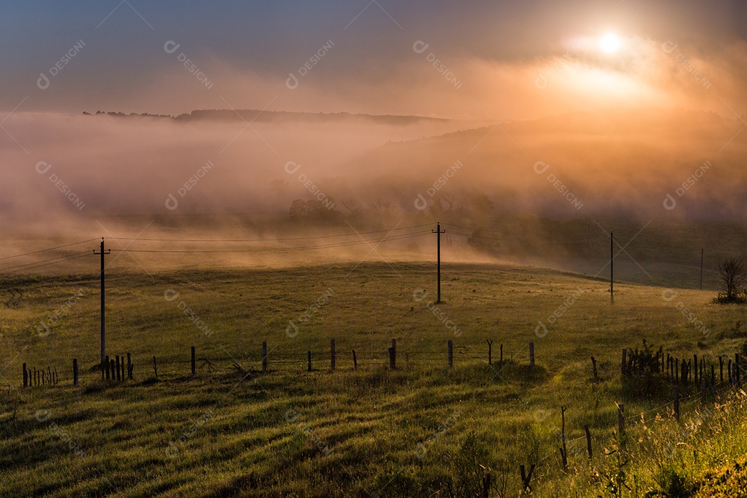 Linhas aéreas simples de energia em uma manhã de neblina no campo de verão