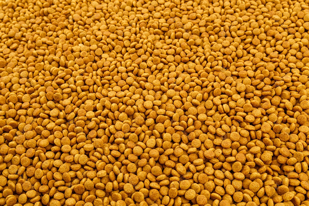 Fundo de quadro inteiro de pequenos crockets de comida de gato laranja seca