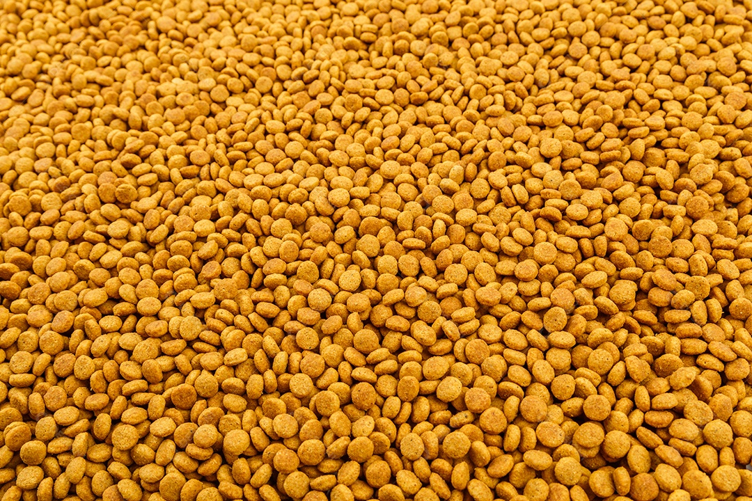 Fundo de quadro inteiro de pequenos crockets de comida de gato laranja seca