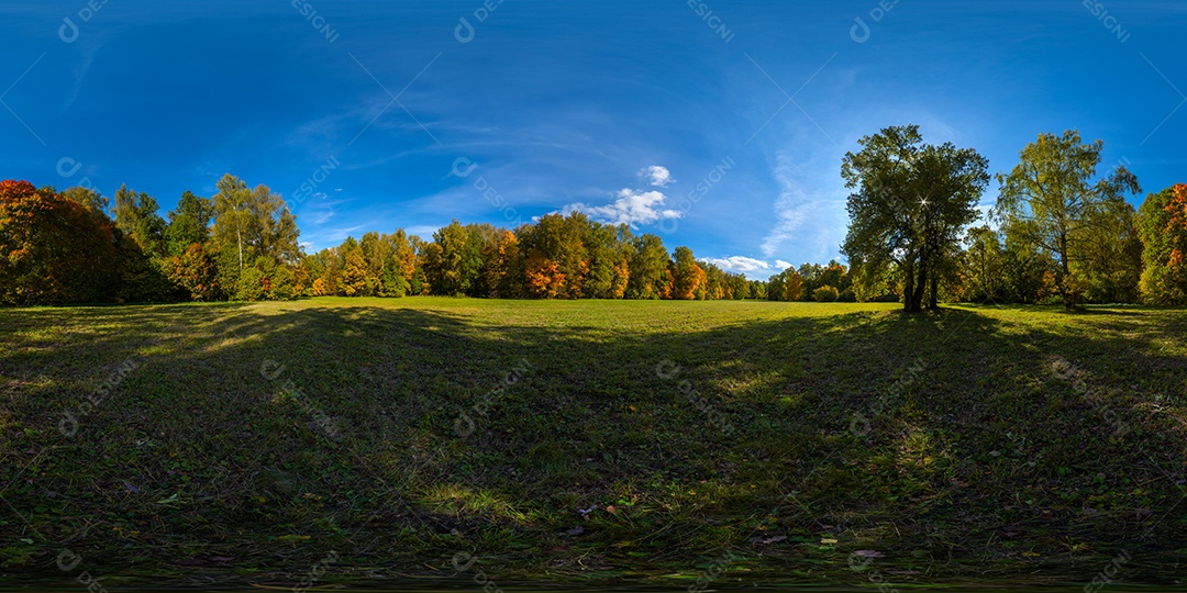 Projeção panorâmica de túnel hiperbólico de panorama esférico em dia ensolarado de outono em floresta de pinheiros com céu azul