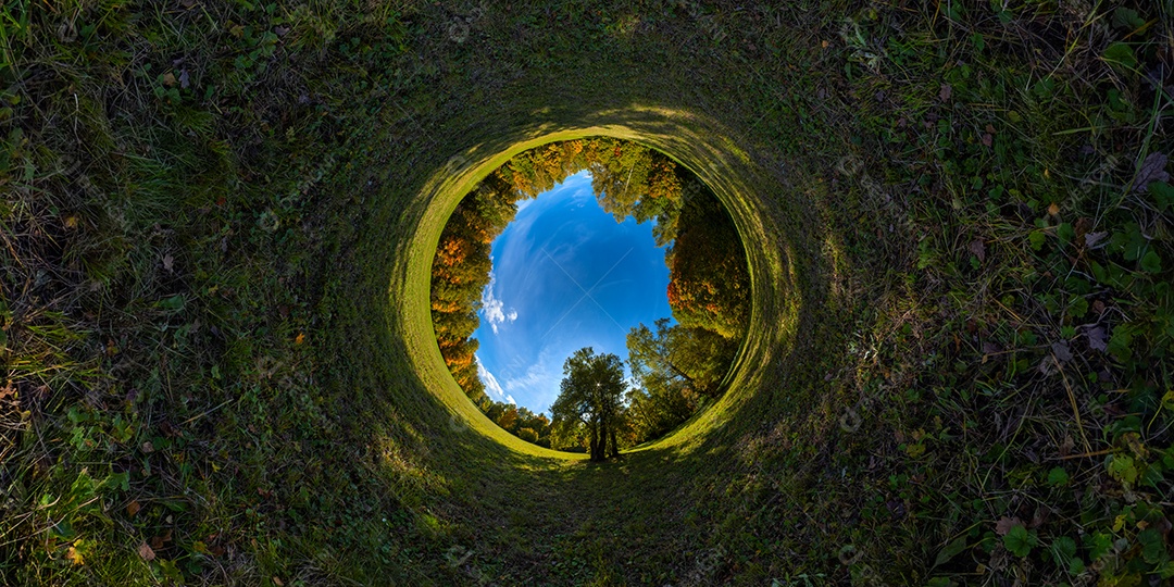 Projeção panorâmica de túnel hiperbólico de panorama esférico em dia ensolarado de outono em floresta de pinheiros com céu azul