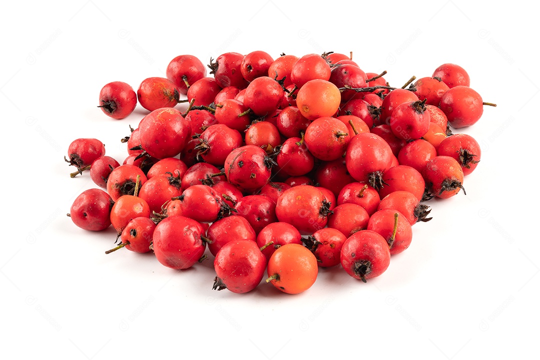 Pequena pilha de bagas de espinheiro isoladas no fundo branco
