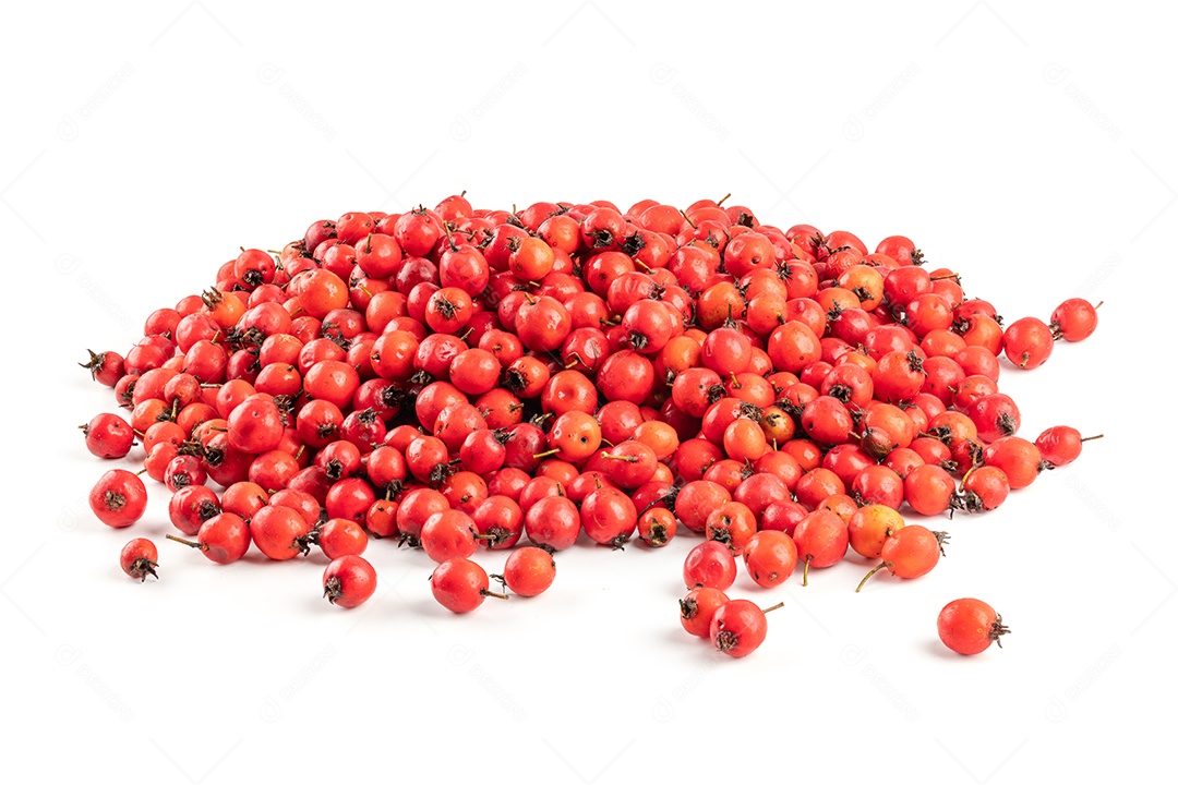 Pequena pilha de bagas de espinheiro isoladas no fundo branco