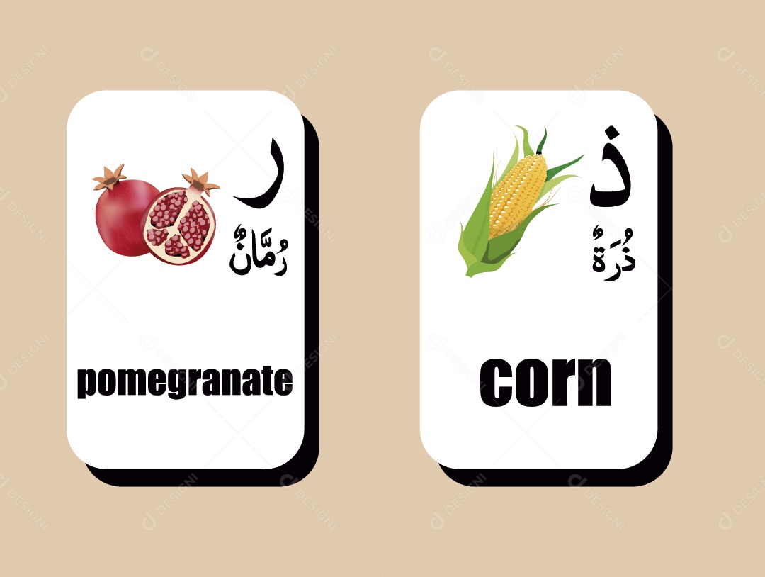 Conjunto de Alfabeto Árabe Ilustração Vetor EPS