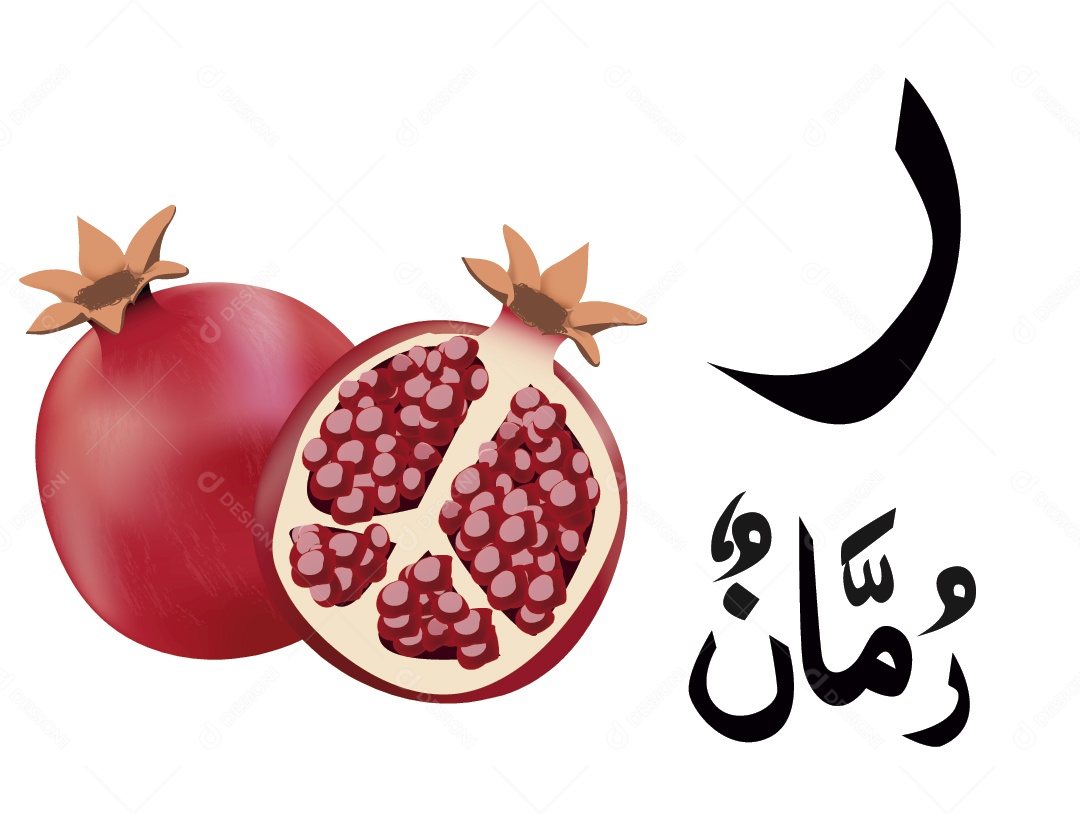 Romã Escrito em Árabe Vetor EPS