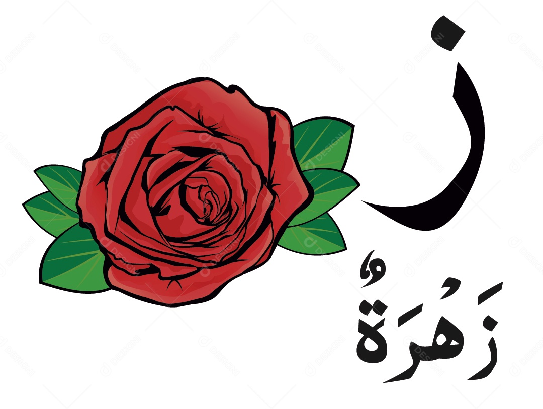 Rosa Escrito em Árabe Vetor EPS