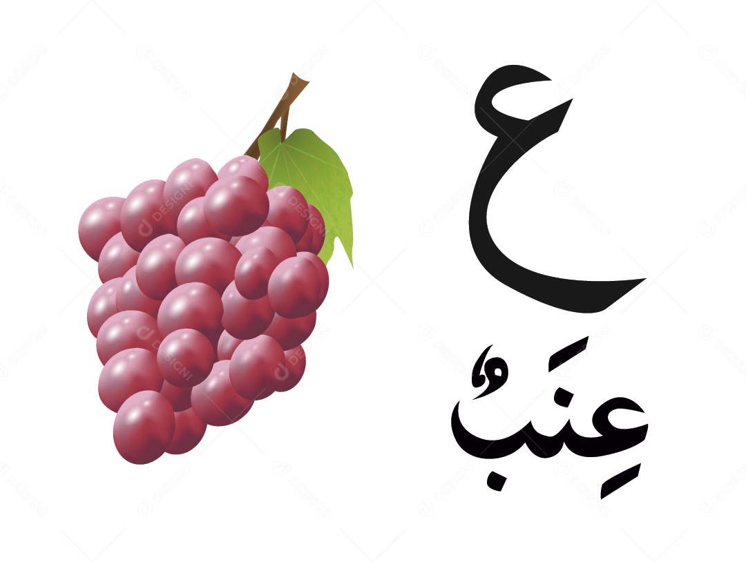 Cacho de Uva Escrito em Árabe Vetor EPS