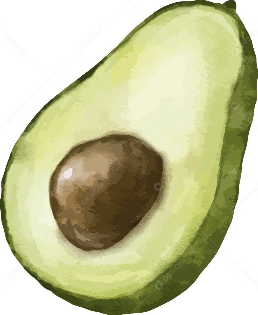 Abacate Ilustração Vetor EPS