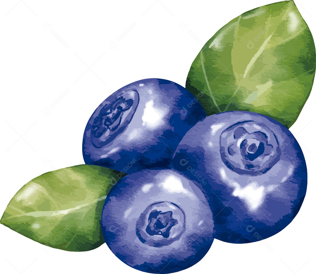 Frutas Exóticas Ilustração Vetor EPS