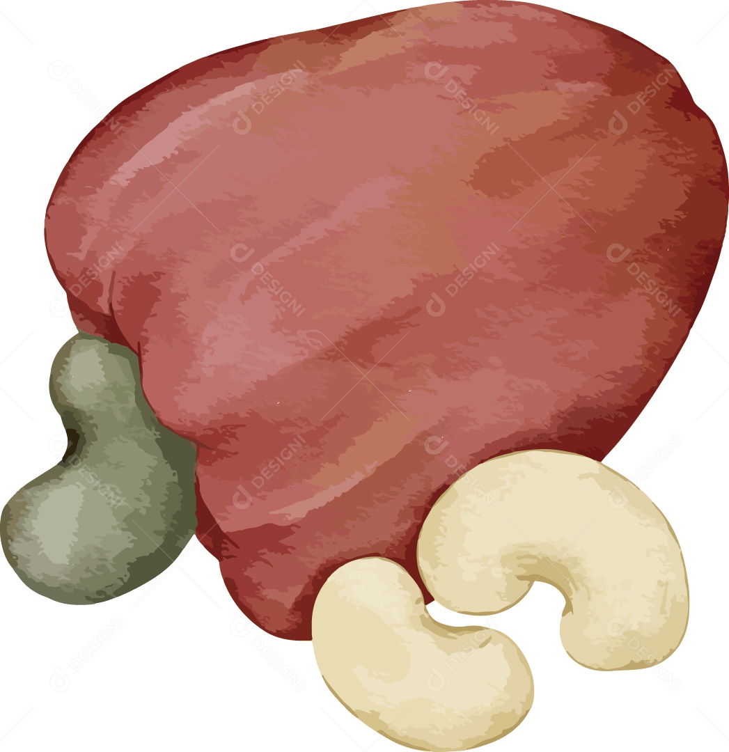 Caju Ilustração Vetor EPS