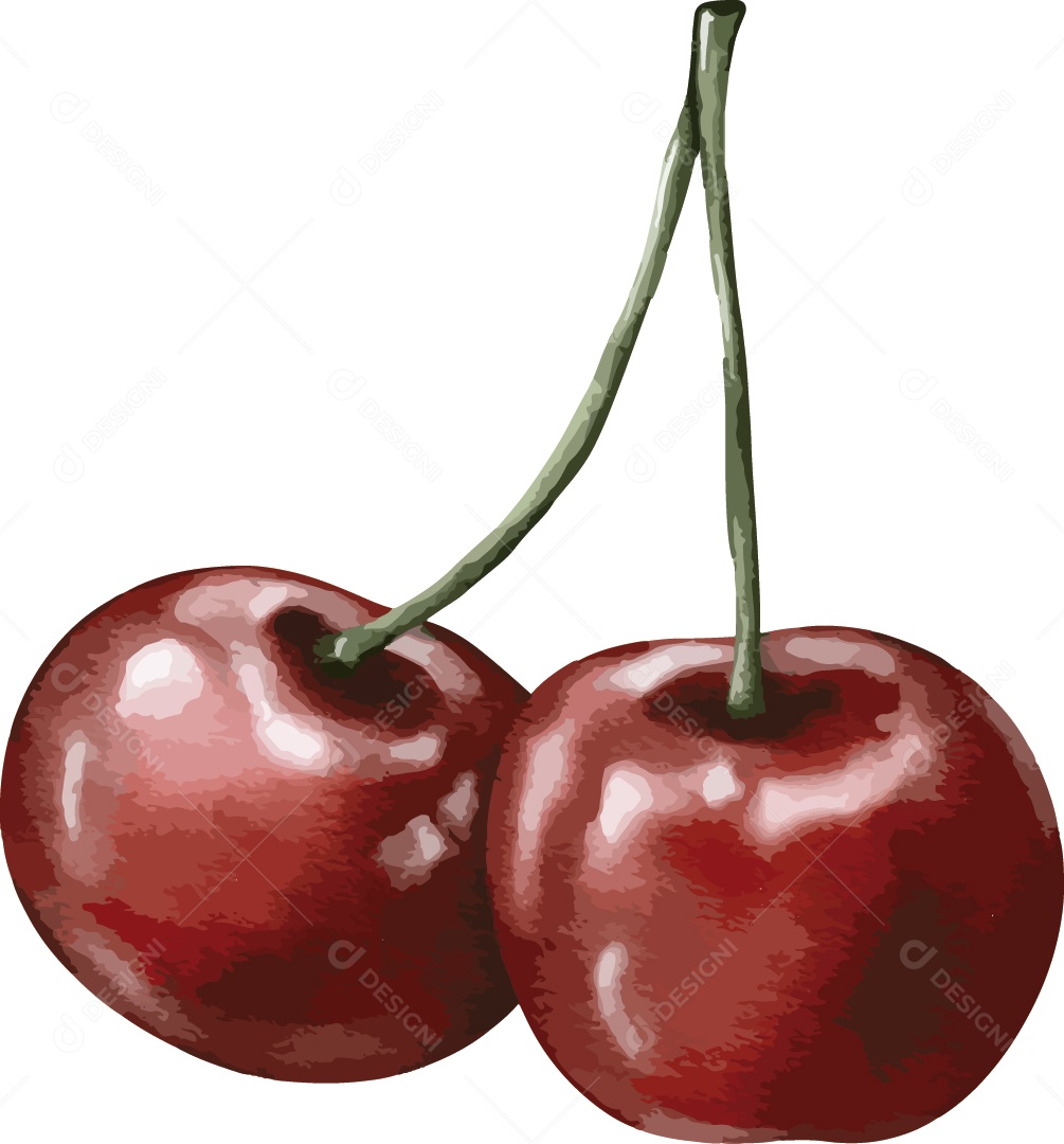 Cereja Ilustração Vetor EPS