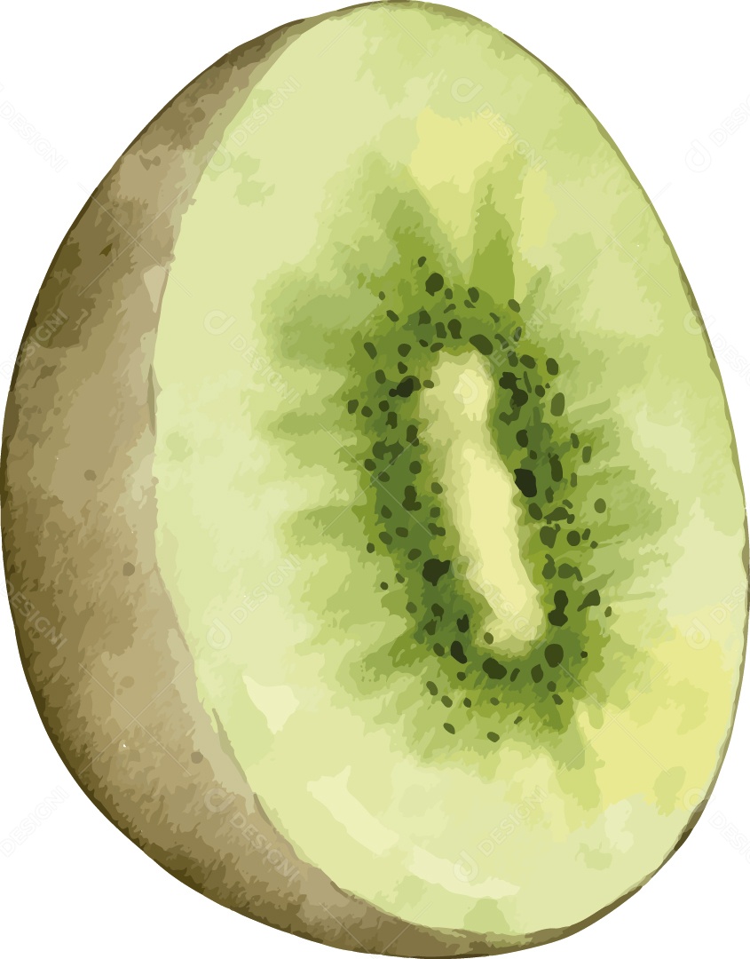 Frutas Exóticas Kiwi Ilustração Vetor EPS