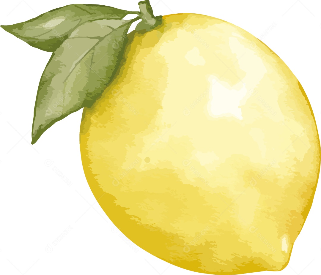 Limão Siciliano Ilustração Vetor EPS