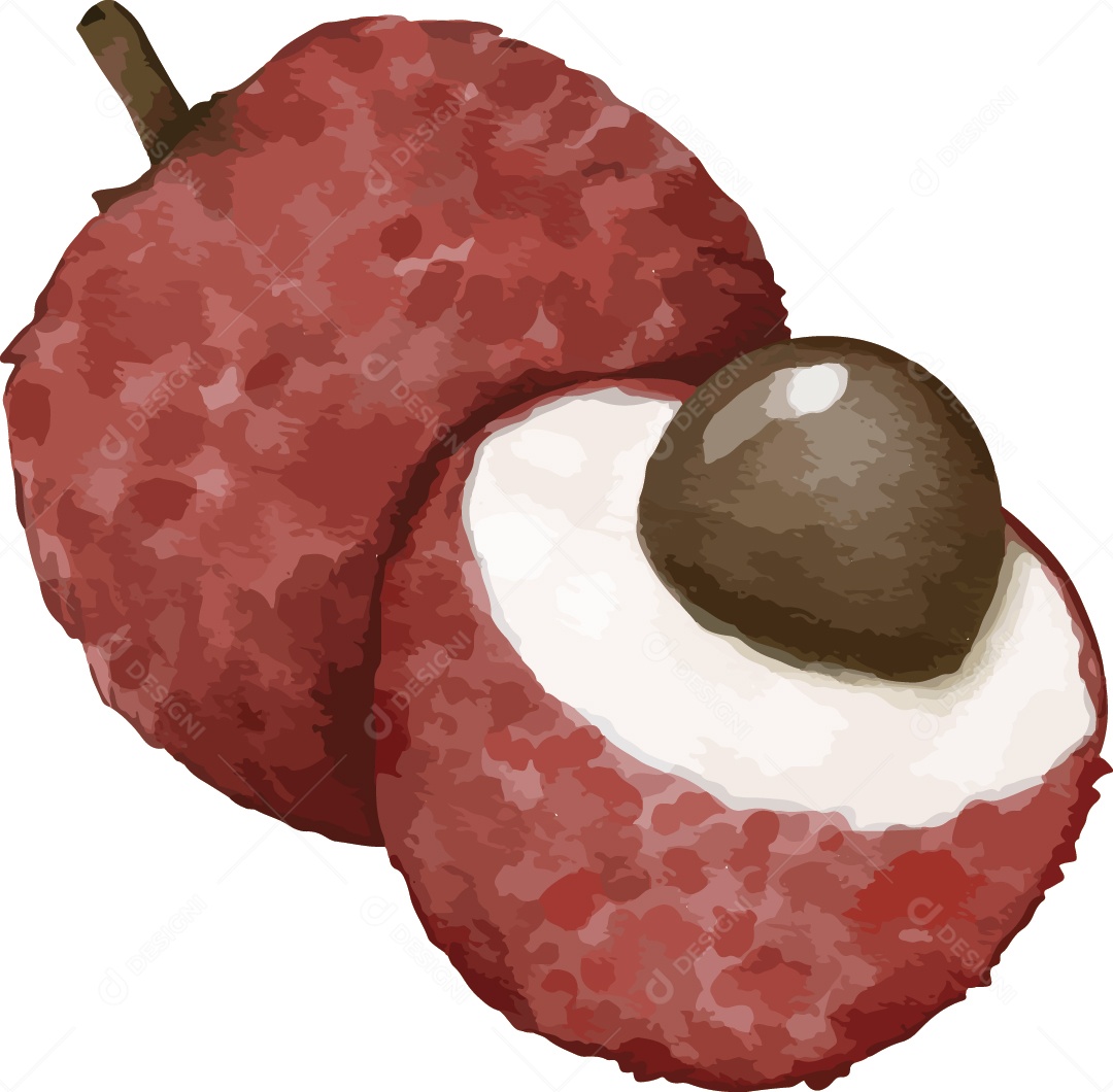 Frutas Exóticas Ilustração Vetor EPS