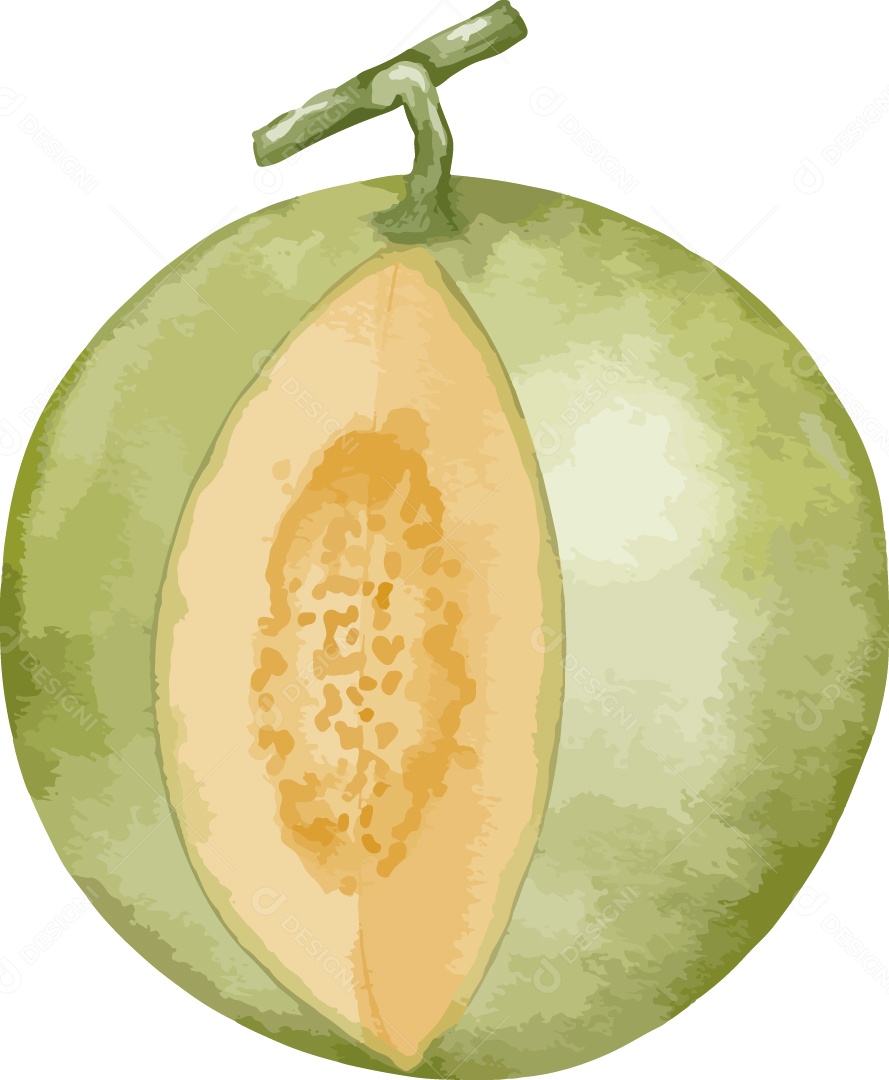 Frutas Exóticas Meão Ilustração Vetor EPS