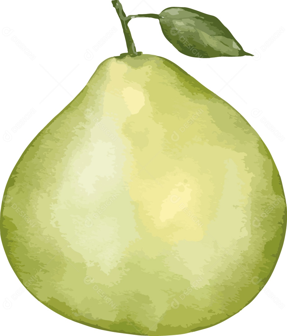 Pera Madura Ilustração Vetor EPS