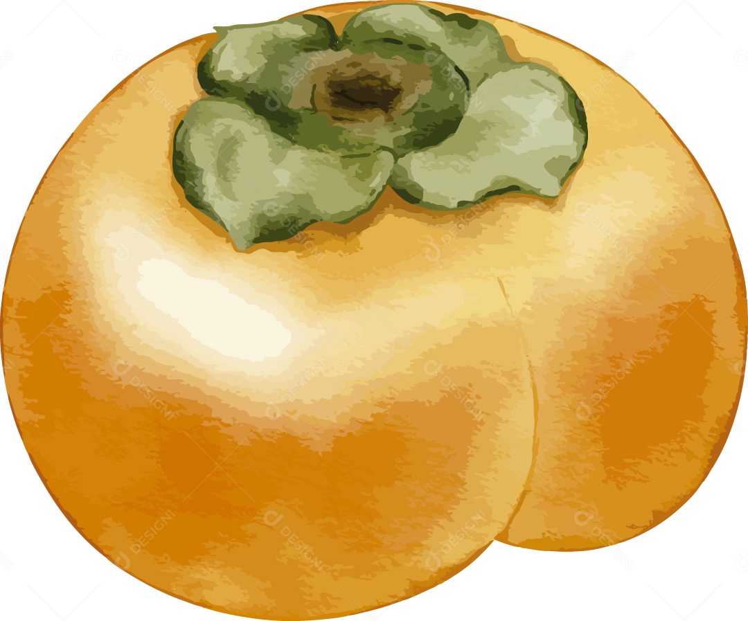 Caqui Ilustração Vetor EPS