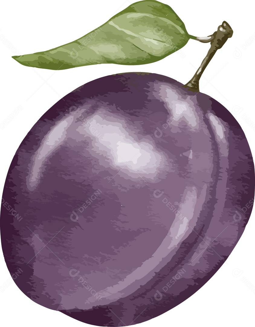 Ameixa Ilustração Vetor EPS