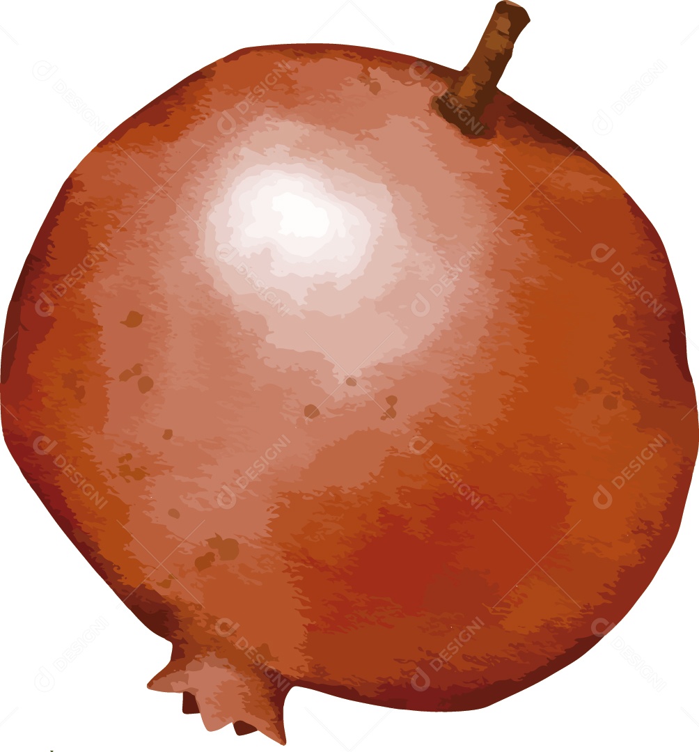 Romã Ilustração Vetor EPS