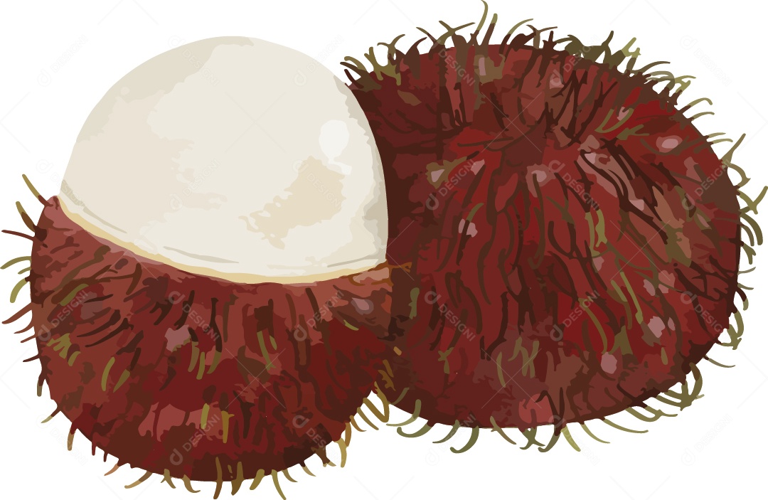 Frutas Exóticas Ilustração Vetor EPS