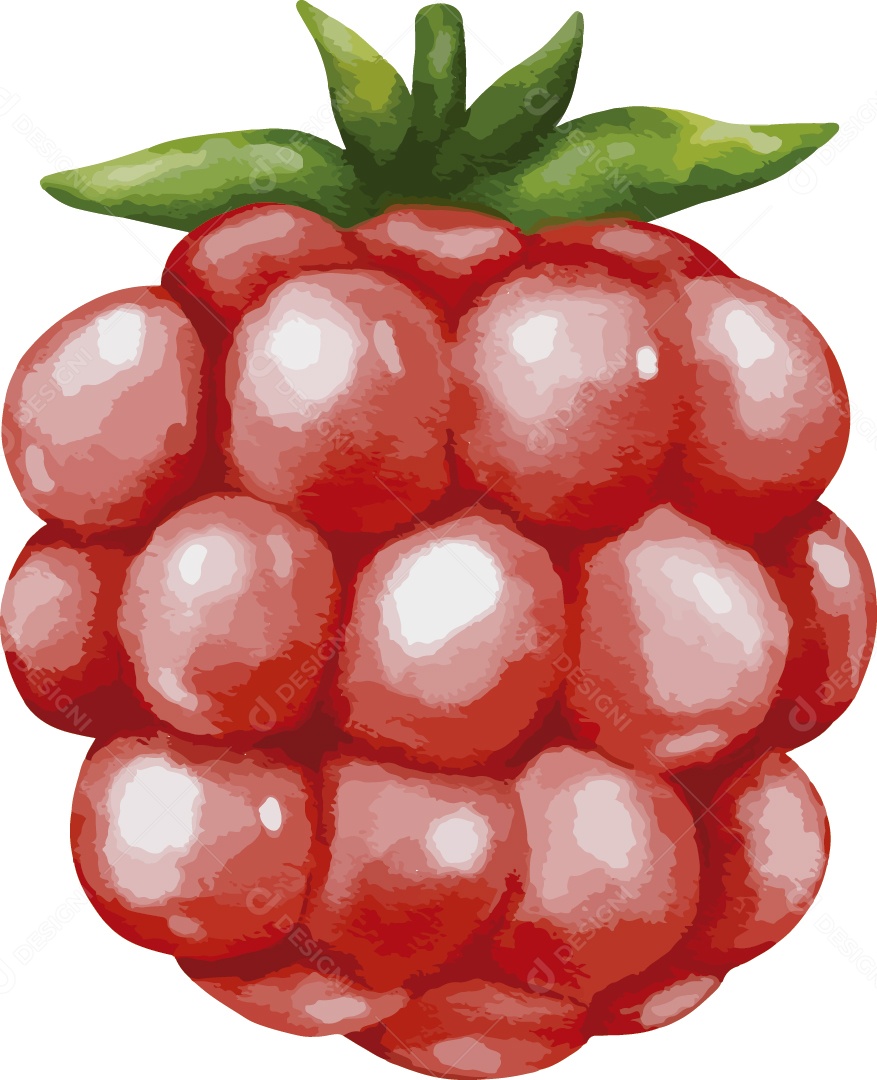 Framboesa Ilustração Vetor EPS