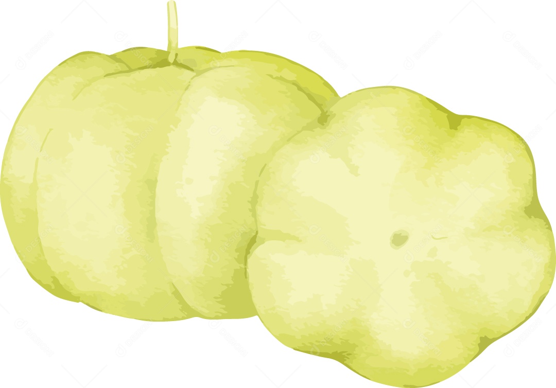 Groselha Ilustração Vetor EPS