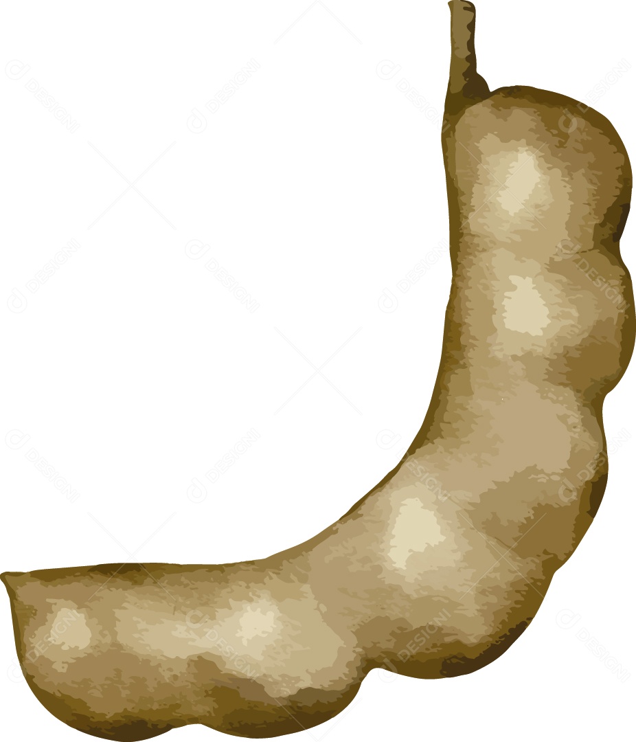 Tamarindo Ilustração Vetor EPS