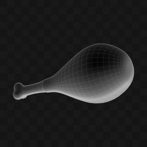 Coxa de Frango Cartoon - Modelo 3D