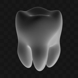 Dente Molar Cartoon - Modelo 3D