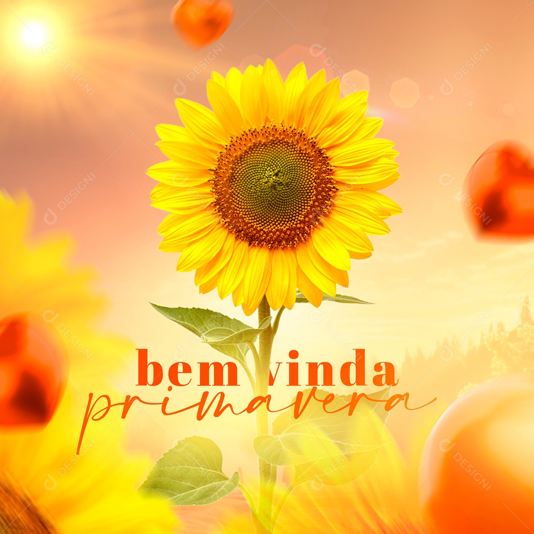 Bem Vinda Primavera Social Media PSD Editável