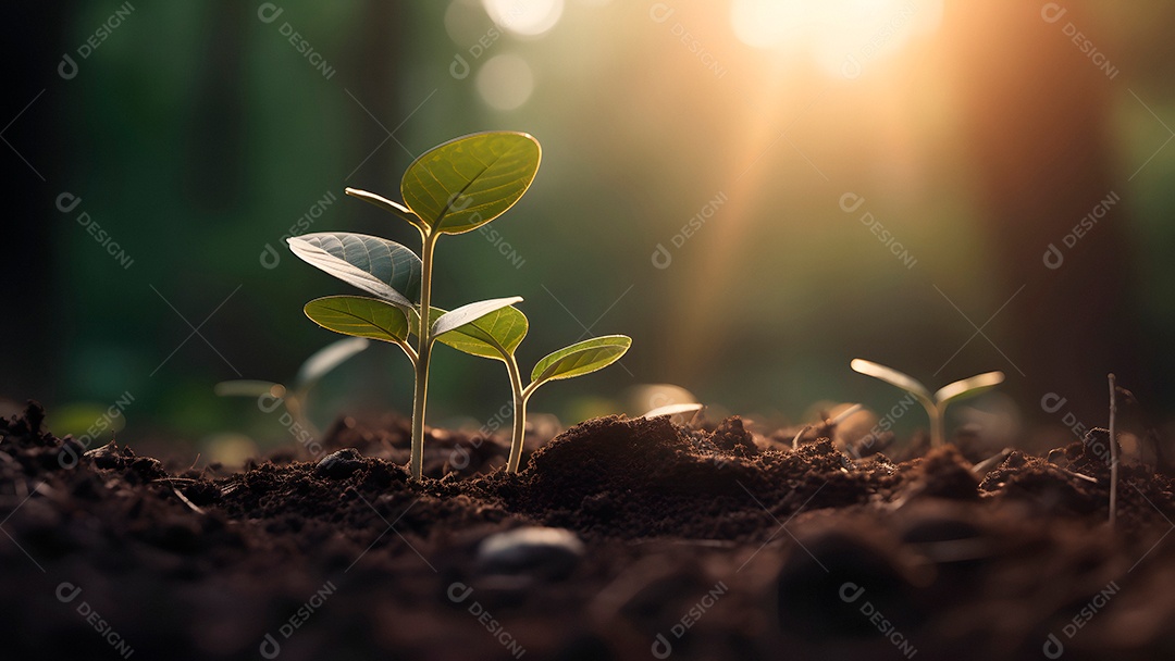 Planta e dinheiro crescendo em pilhas de moedas
