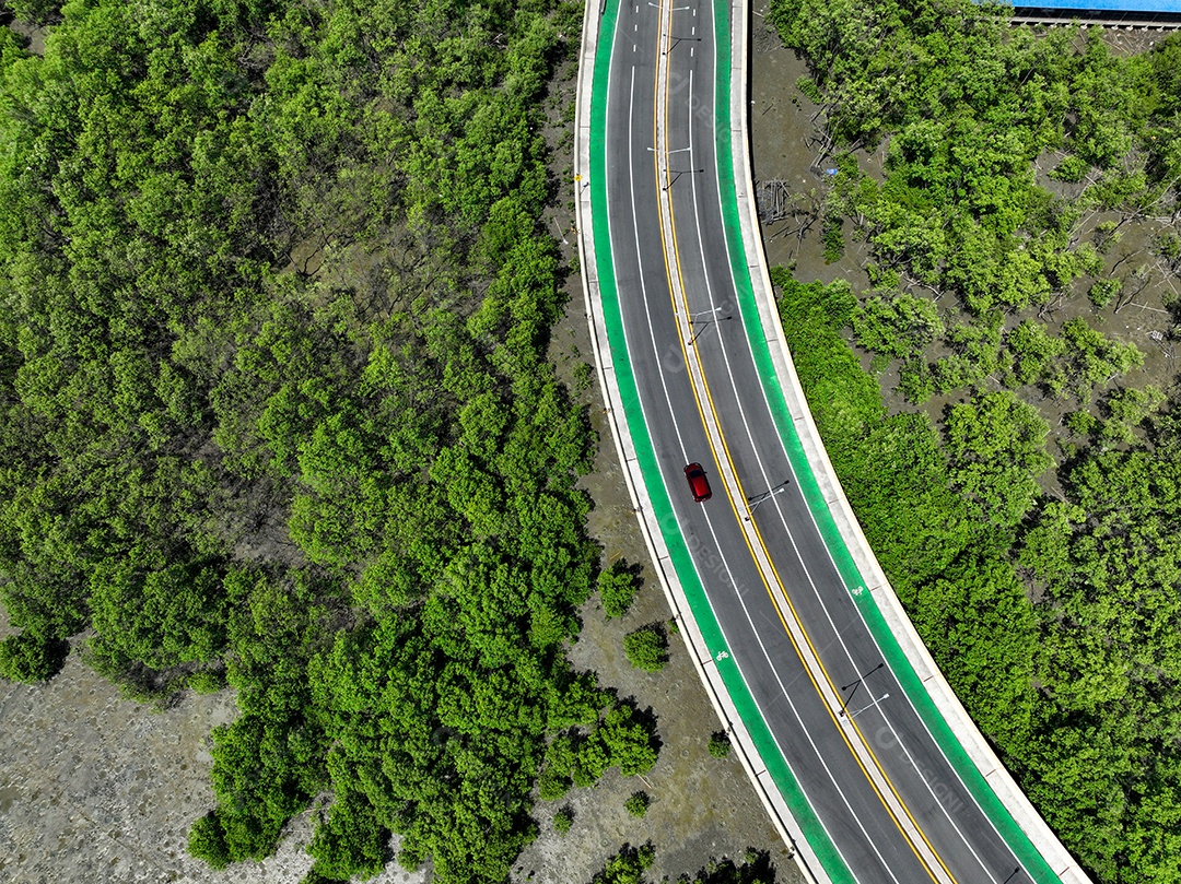 Estrada curva de vista aérea de drone com floresta de mangue verde e praia lamacenta. Os manguezais capturam CO2.