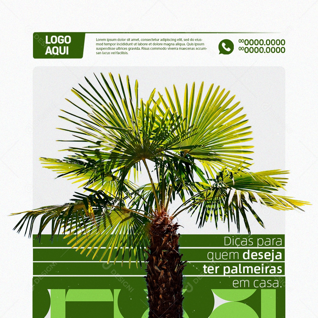 Jardinagem Dicas para Quem Deseja ter Palmeiras em Casa Social Media PSD Editável