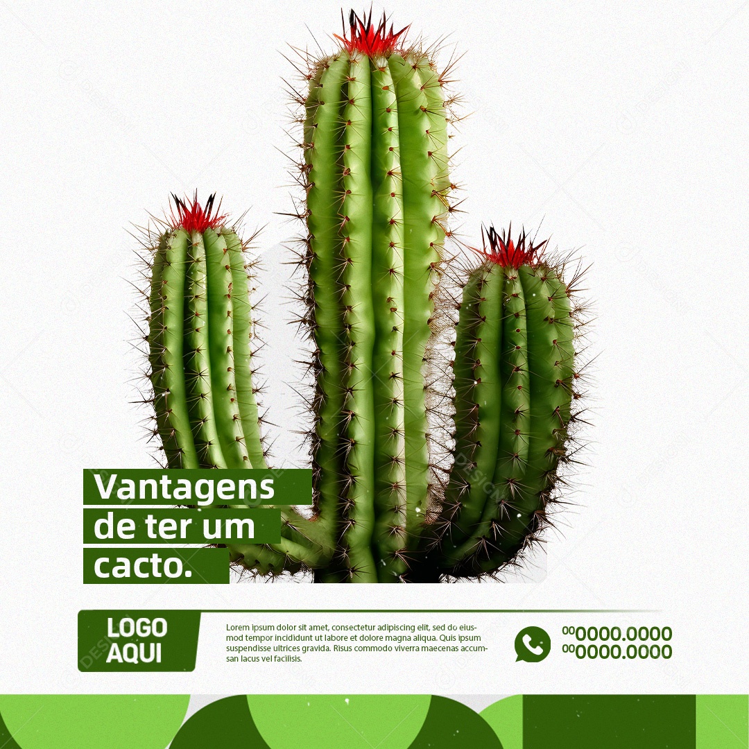 Jardinagem Vantagens de Ter um Cacto Social Media PSD Editável