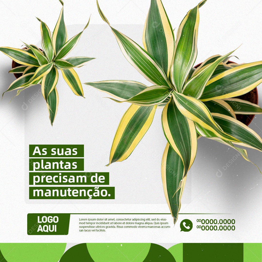 Jardinagem As suas Plantas Precisam de Manutenção Social Media PSD Editável