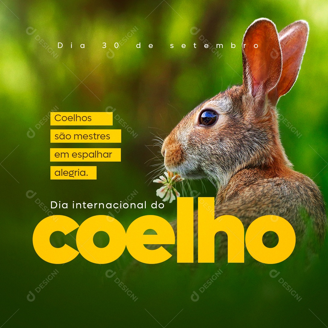 Dia Internacional do Coelho 30 de Setembro são os Mestres em Espalhar Alegria Social Media PSD Editável