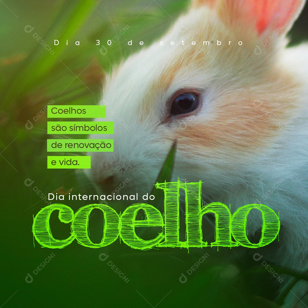 Dia Internacional do Coelho 30 de Setembro são Símbolos de Renovação e Vida Social Media PSD Editável