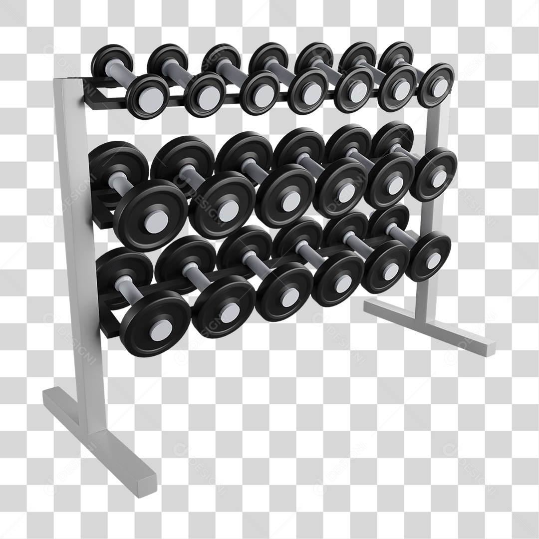 Pesos de Academia PNG Transparente